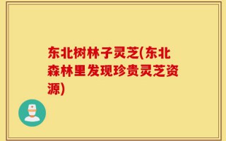东北树林子灵芝(东北森林里发现珍贵灵芝资源)