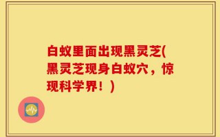 白蚁里面出现黑灵芝(黑灵芝现身白蚁穴，惊现科学界！)