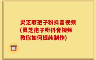 灵芝取孢子粉抖音视频(灵芝孢子粉抖音视频教你如何提纯制作)