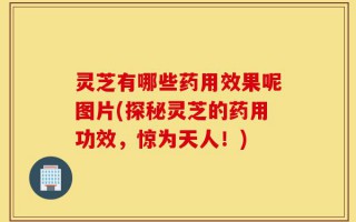 灵芝有哪些药用效果呢图片(探秘灵芝的药用功效，惊为天人！)