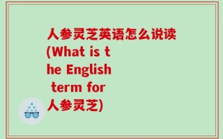 人参灵芝英语怎么说读(What is the English term for 人参灵芝)