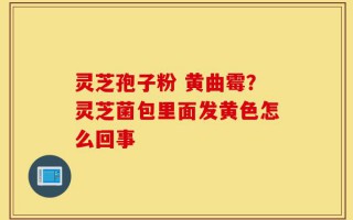 灵芝孢子粉 黄曲霉？灵芝菌包里面发黄色怎么回事