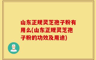 山东正规灵芝孢子粉有用么(山东正规灵芝孢子粉的功效及用途)