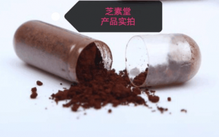 灵芝孢子粉能空腹吃吗？吃错了怎么办！