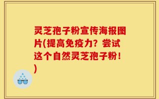灵芝孢子粉宣传海报图片(提高免疫力？尝试这个自然灵芝孢子粉！)