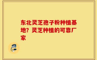 东北灵芝孢子粉种植基地？灵芝种植的可靠厂家