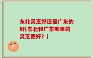 东北灵芝好还是广东的好(东北和广东哪里的灵芝更好？)