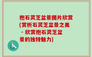 抱石灵芝盆景图片欣赏(赏析石灵芝盆景之美 - 欣赏抱石灵芝盆景的独特魅力)