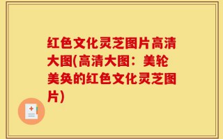红色文化灵芝图片高清大图(高清大图：美轮美奂的红色文化灵芝图片)
