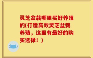 灵芝盆栽哪里买好养殖的(打造高效灵芝盆栽养殖，这里有最好的购买选择！)