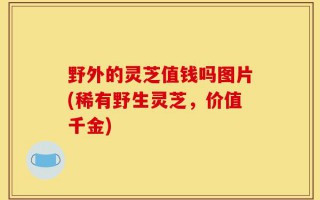 野外的灵芝值钱吗图片(稀有野生灵芝，价值千金)