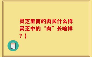 灵芝里面的肉长什么样灵芝中的“肉”长啥样？)
