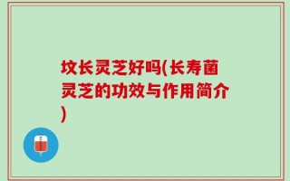坟长灵芝好吗(长寿菌灵芝的功效与作用简介)