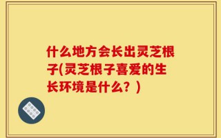 什么地方会长出灵芝根子(灵芝根子喜爱的生长环境是什么？)
