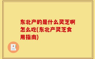 东北产的是什么灵芝啊怎么吃(东北产灵芝食用指南)