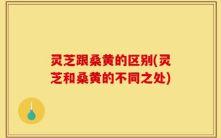 灵芝跟桑黄的区别(灵芝和桑黄的不同之处)