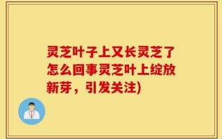 灵芝叶子上又长灵芝了怎么回事灵芝叶上绽放新芽，引发关注)