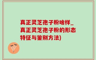 真正灵芝孢子粉啥样_真正灵芝孢子粉的形态特征与鉴别方法)