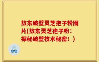 敖东破壁灵芝孢子粉图片(敖东灵芝孢子粉：探秘破壁技术秘密！)