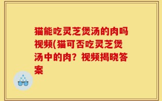 猫能吃灵芝煲汤的肉吗视频(猫可否吃灵芝煲汤中的肉？视频揭晓答案