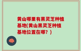 黄山哪里有黑灵芝种植基地(黄山黑灵芝种植基地位置在哪？)