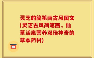 灵芝的简笔画古风图文(灵芝古风简笔画，仙草活泉营养双倍神奇的草本药材)