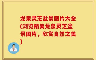 龙泉灵芝盆景图片大全(浏览精美龙泉灵芝盆景图片，欣赏自然之美)