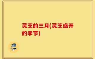 灵芝的三月(灵芝盛开的季节)