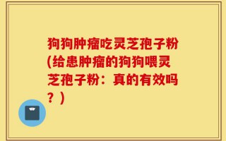 狗狗肿瘤吃灵芝孢子粉(给患肿瘤的狗狗喂灵芝孢子粉：真的有效吗？)