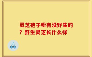 灵芝孢子粉有没野生的？野生灵芝长什么样