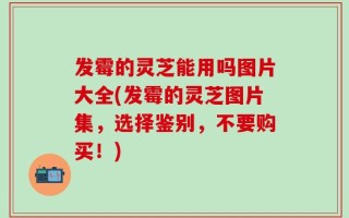 发霉的灵芝能用吗图片大全(发霉的灵芝图片集，选择鉴别，不要购买！)
