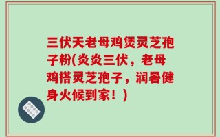 三伏天老母鸡煲灵芝孢子粉(炎炎三伏，老母鸡搭灵芝孢子，润暑健身火候到家！)