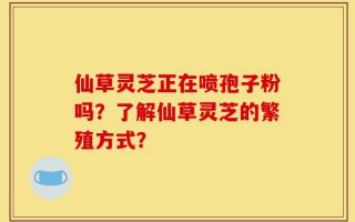 仙草灵芝正在喷孢子粉吗？了解仙草灵芝的繁殖方式？