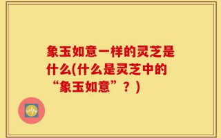 象玉如意一样的灵芝是什么(什么是灵芝中的“象玉如意”？)