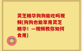 灵芝精华狗狗能吃吗视频(狗狗也能享用灵芝精华！—视频教你如何食用)