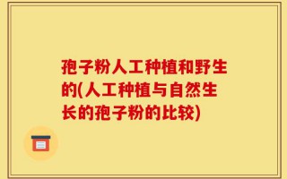 孢子粉人工种植和野生的(人工种植与自然生长的孢子粉的比较)