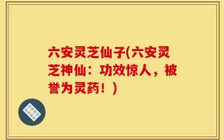 六安灵芝仙子(六安灵芝神仙：功效惊人，被誉为灵药！)