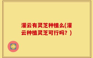 灌云有灵芝种植么(灌云种植灵芝可行吗？)
