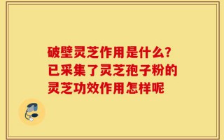 破壁灵芝作用是什么？已采集了灵芝孢子粉的灵芝功效作用怎样呢