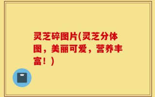灵芝碎图片(灵芝分体图，美丽可爱，营养丰富！)