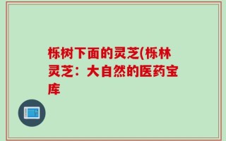 栎树下面的灵芝(栎林灵芝：大自然的医药宝库
