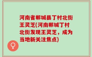 河南省郸城县丁村北街王灵芝(河南郸城丁村北街发现王灵芝，成为当地新关注焦点)