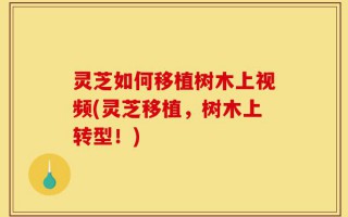 灵芝如何移植树木上视频(灵芝移植，树木上转型！)