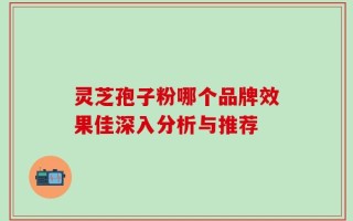 灵芝孢子粉哪个品牌效果佳深入分析与推荐