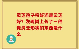 灵芝孢子粉好还是云芝好？发现树上长了一种像灵芝形状的东西是什么