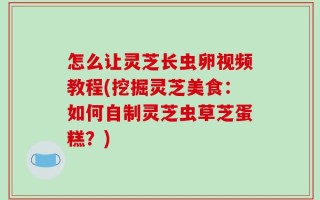 怎么让灵芝长虫卵视频教程(挖掘灵芝美食：如何自制灵芝虫草芝蛋糕？)