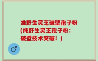 准野生灵芝破壁孢子粉(纯野生灵芝孢子粉：破壁技术突破！)