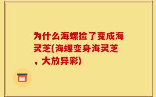为什么海螺捡了变成海灵芝(海螺变身海灵芝，大放异彩)