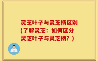 灵芝叶子与灵芝柄区别(了解灵芝：如何区分灵芝叶子与灵芝柄？)