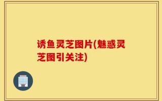 诱鱼灵芝图片(魅惑灵芝图引关注)